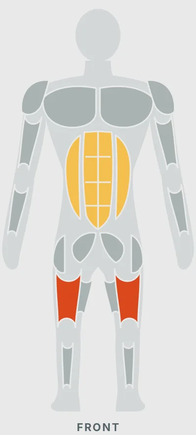 Kettlebell Swings: muscles worked, front view