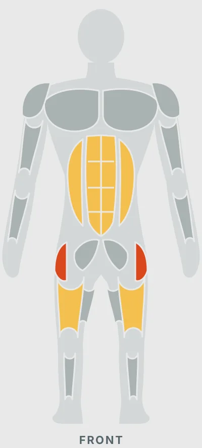 Lateral Mini-Band Walk: muscles worked, front view