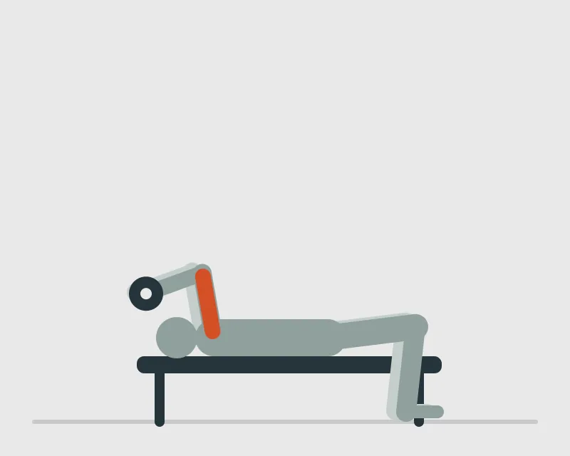 Lying Dumbbell Triceps Extension, end position