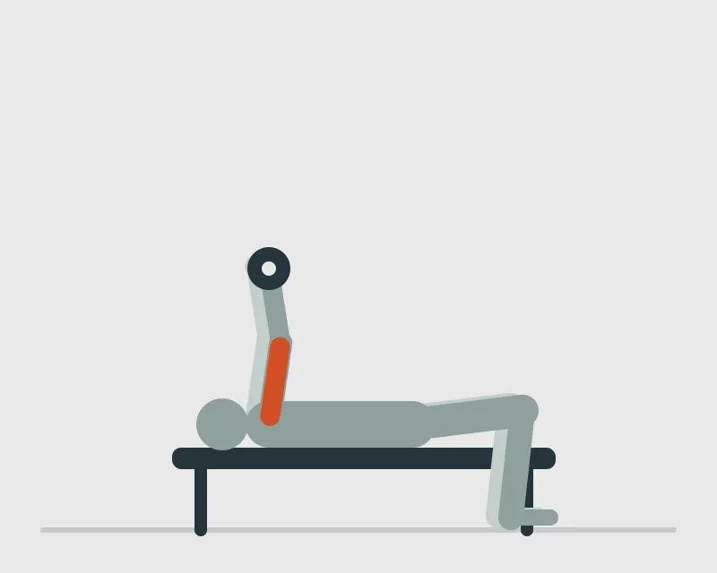 Lying Dumbbell Triceps Extension, start position