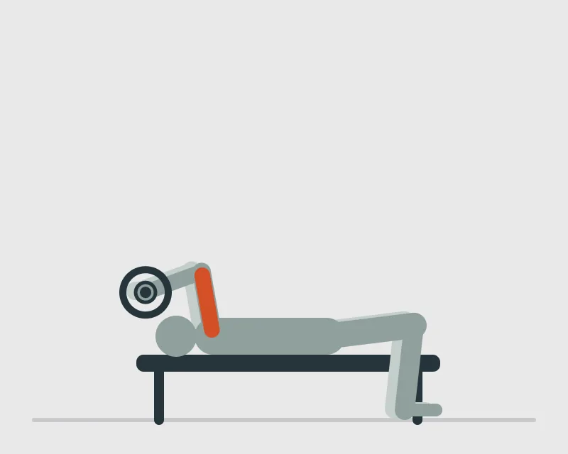 Lying Triceps Extension, end position