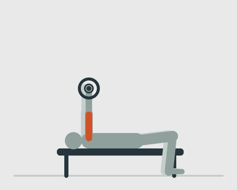 Lying Triceps Extension, start position