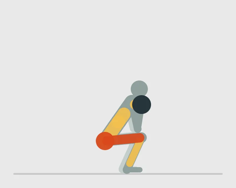 Medicine Ball Squat, end position