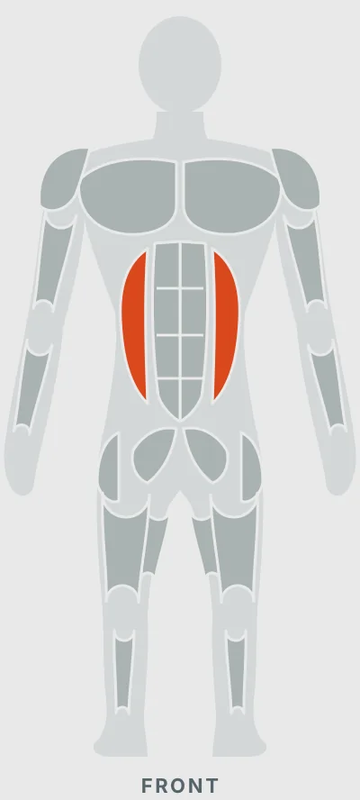 Oblique Crunch: muscles worked, front view