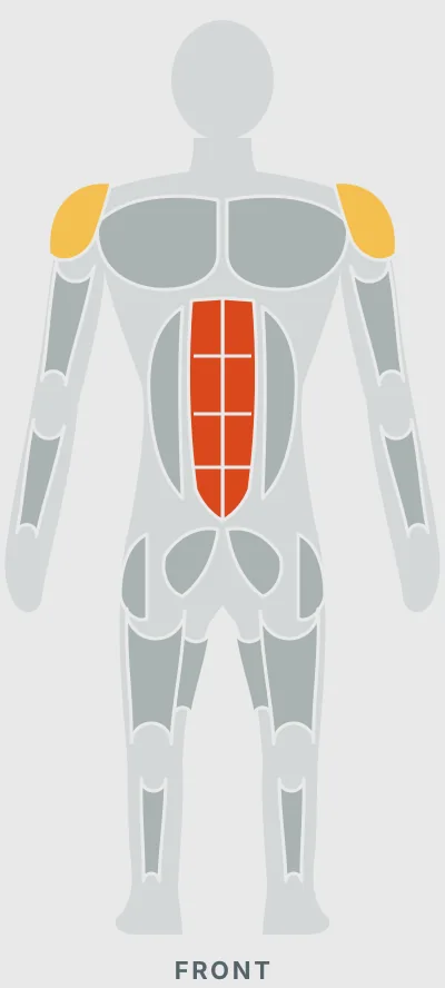 Plank Get Ups: muscles worked, front view