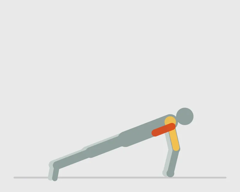 Push Ups, start position