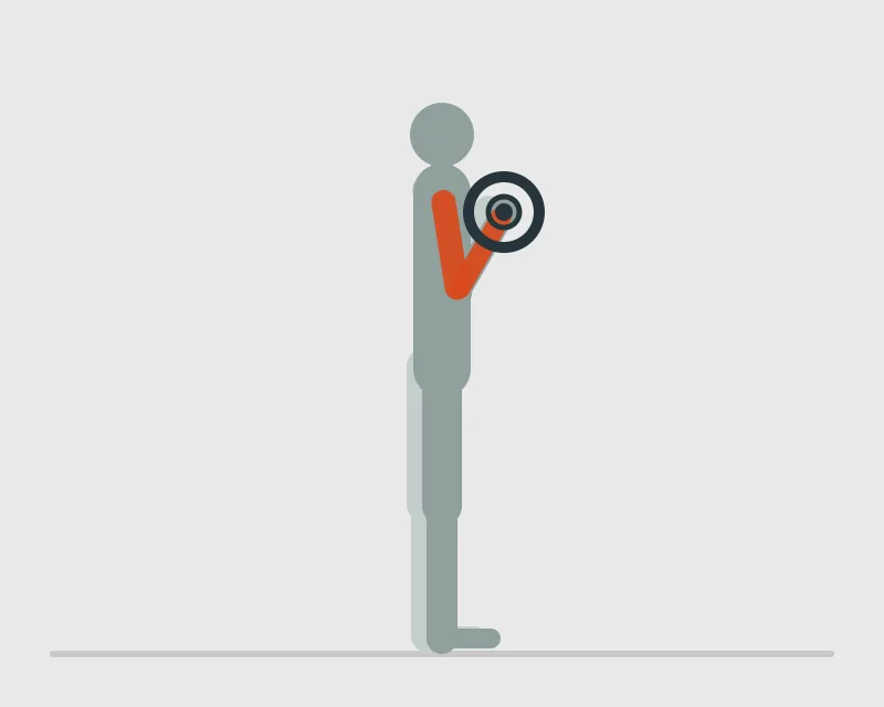 Reverse Barbell Curl, end position