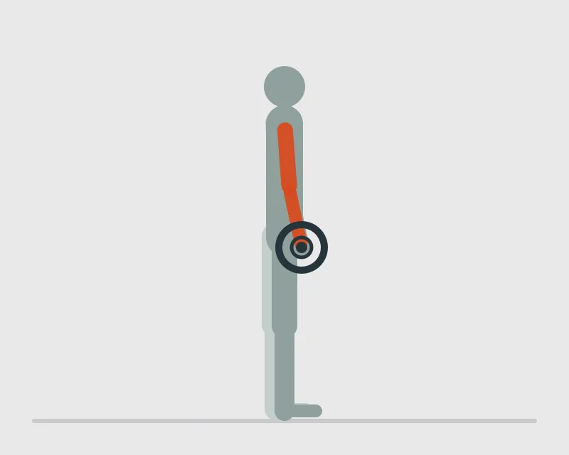 Reverse Barbell Curl, start position