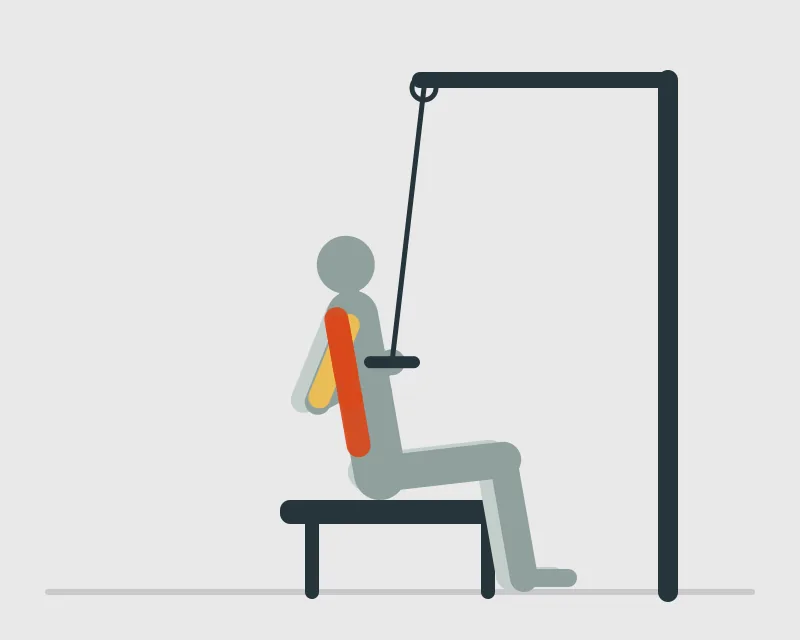 Reverse-Grip Pulldown, end position