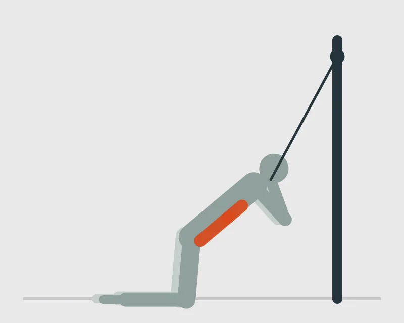 Rope Ab Pulldown, end position