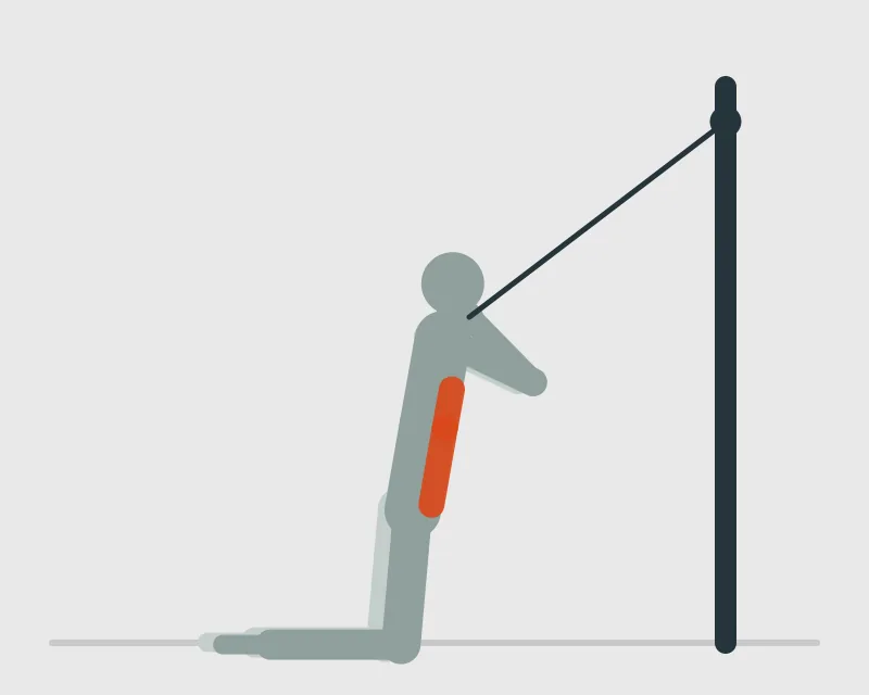 Rope Ab Pulldown, start position