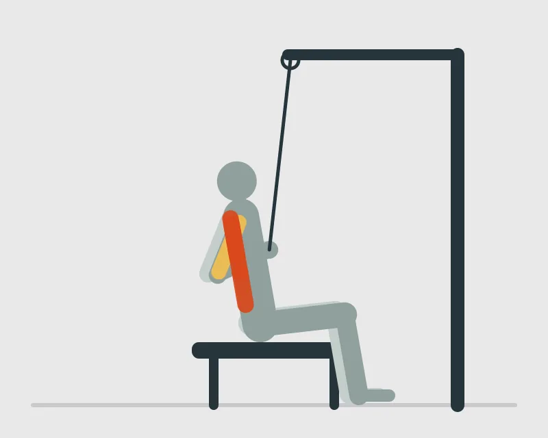 Rope Pulldown, end position