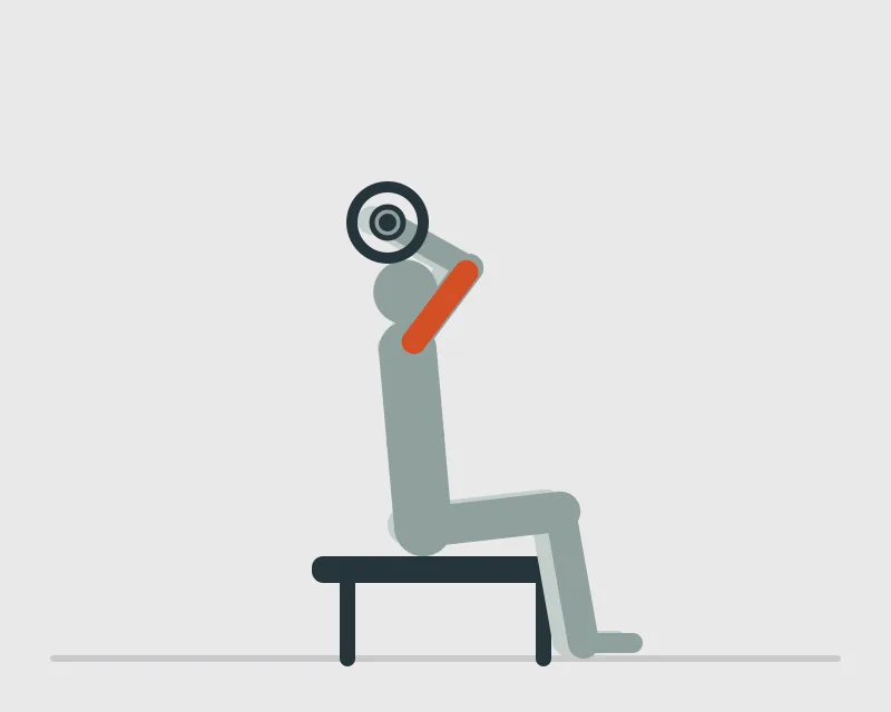 Seated Barbell French Press, end position