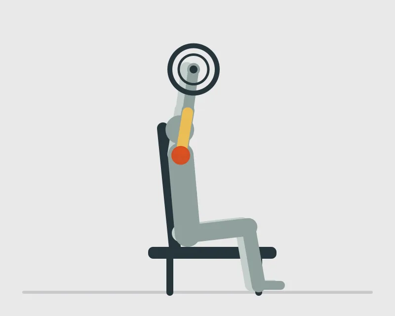 Seated Barbell Shoulder Press, end position
