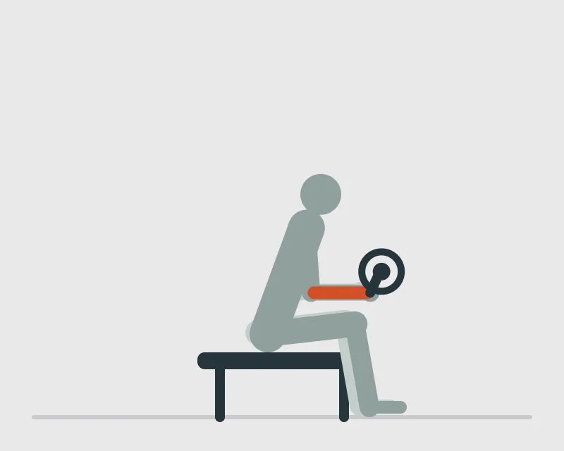 Seated Barbell Wrist Curl, end position