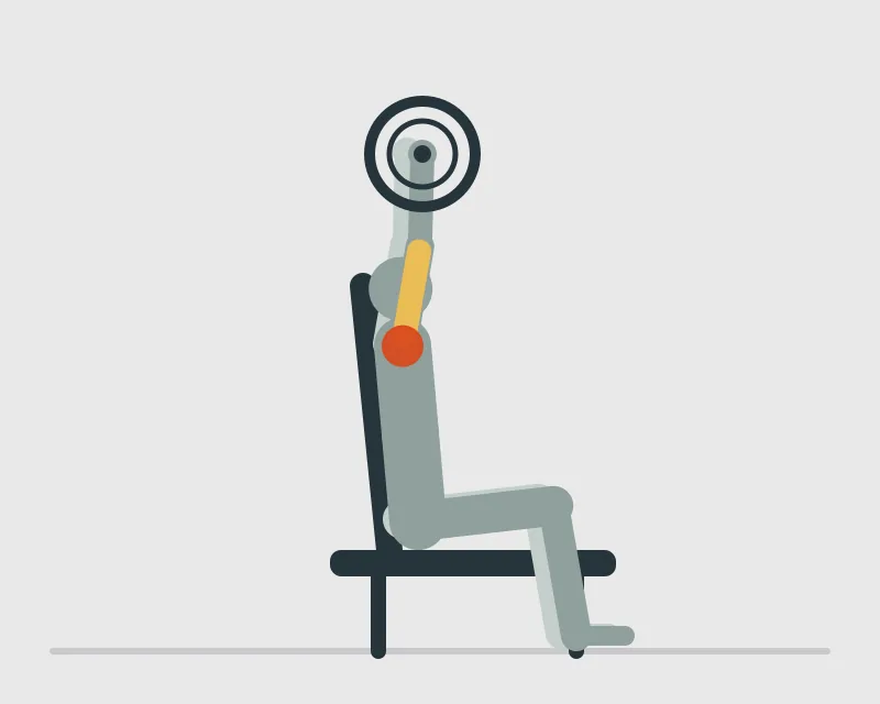 Seated Behind the Neck Barbell Shoulder Press, end position