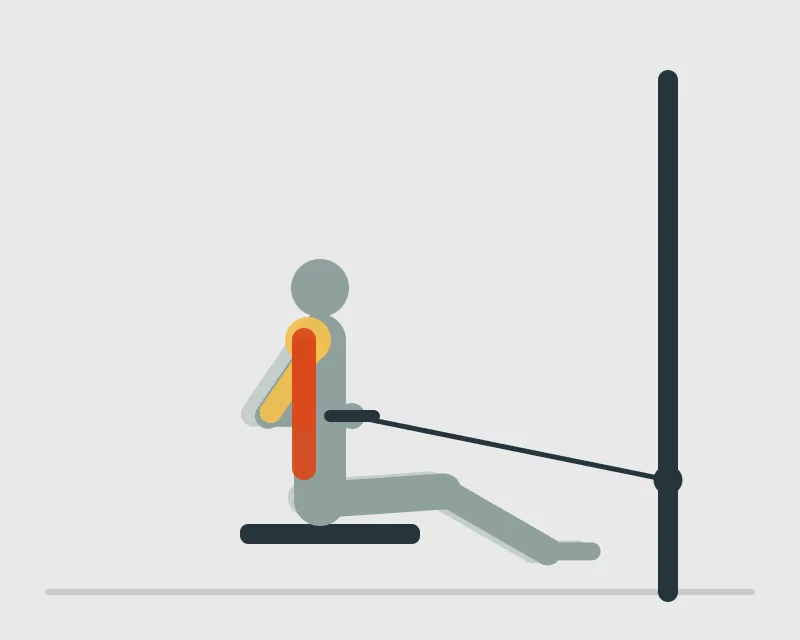 Seated Cable Row, end position