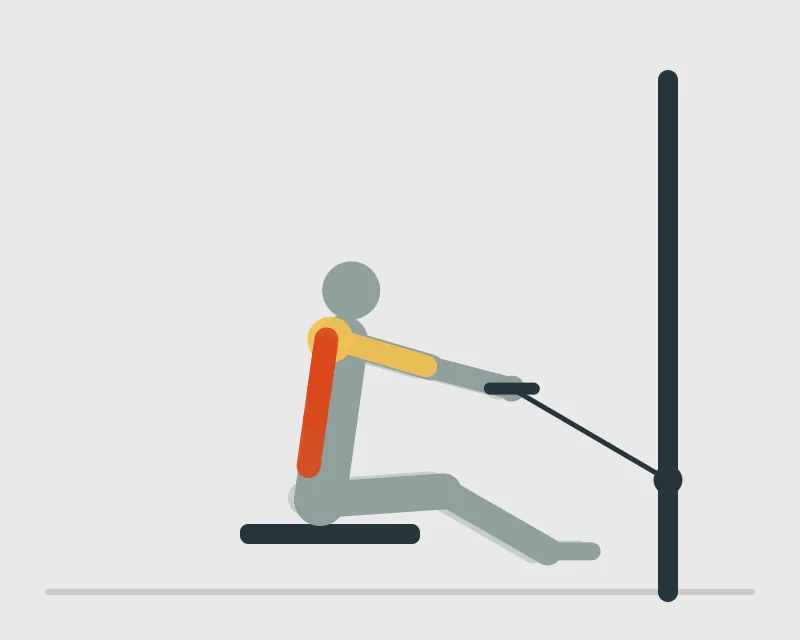 Seated Cable Row, start position