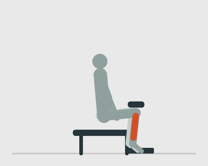 Seated Calf Raise, end position