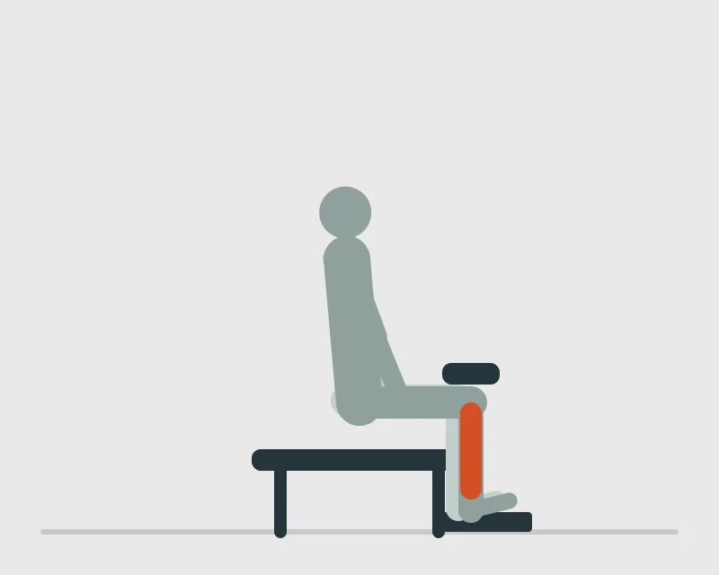 Seated Calf Raise, start position