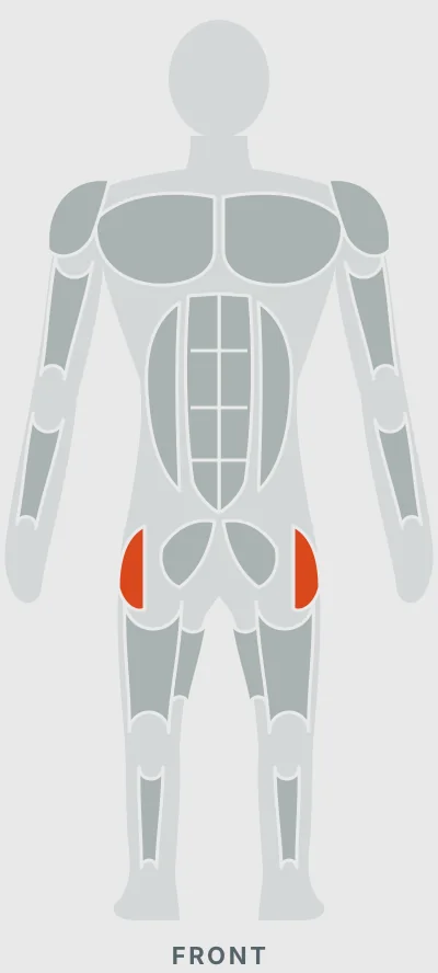 Seated Hip Abduction Machine: muscles worked, front view