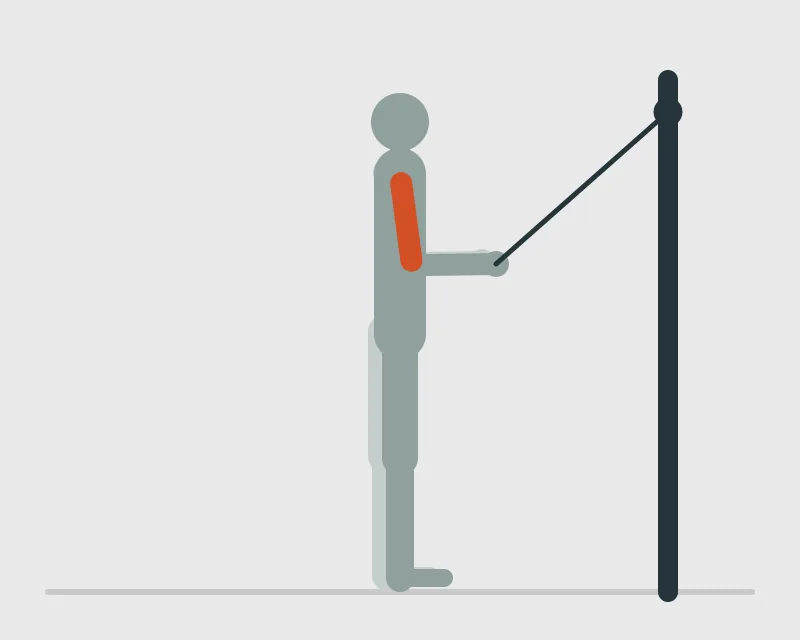 Single-Arm Cable Triceps Extension with Supinated Grip, start position