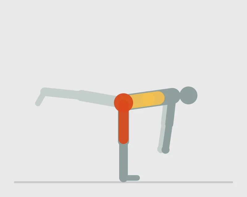 Single Leg Bodyweight Deadlift, end position