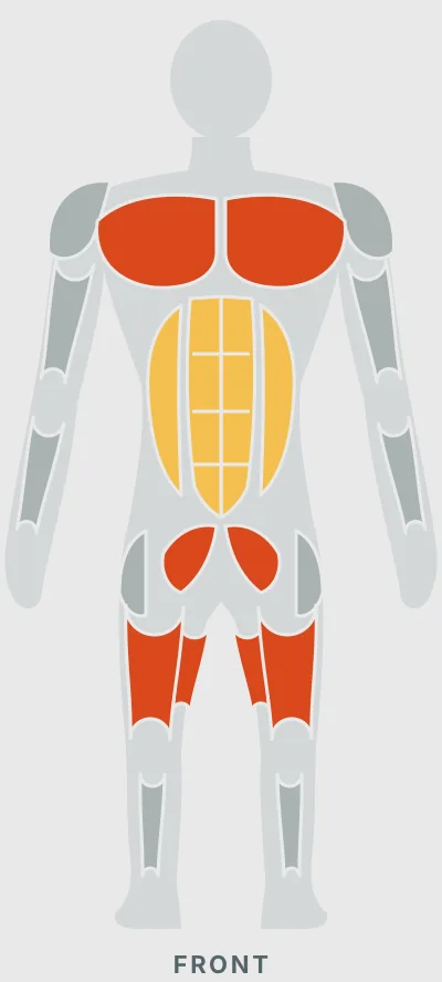 Squat Sit to Reach: muscles worked, front view