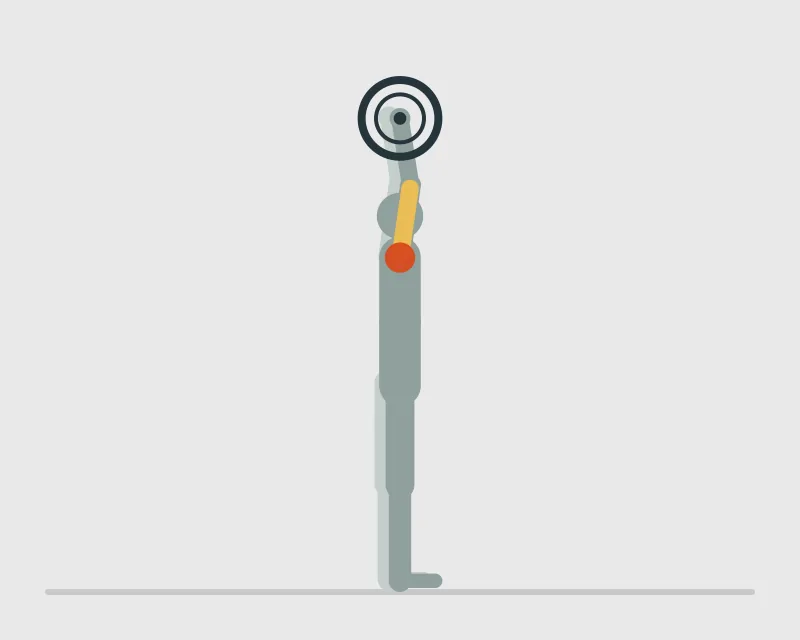 Standing Behind the Neck Barbell Shoulder Press, end position