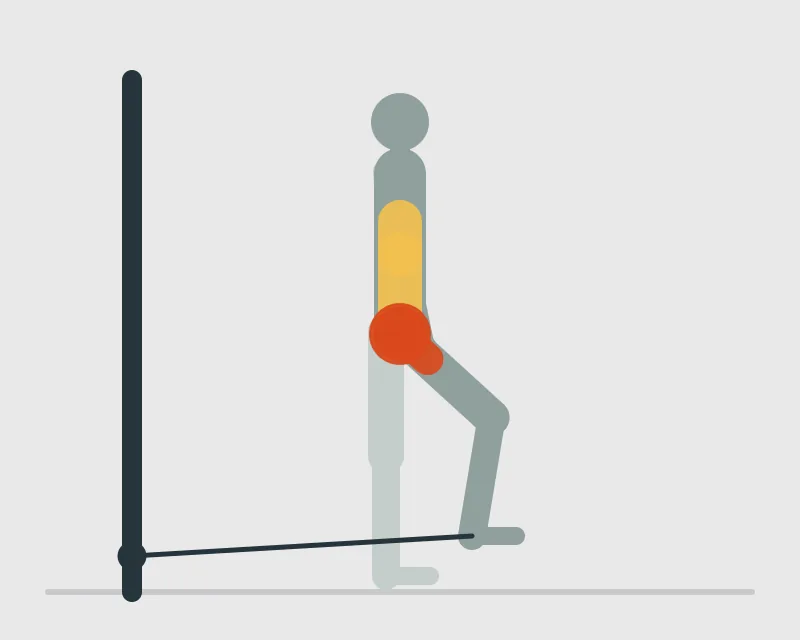Standing Cable Abduction, end position