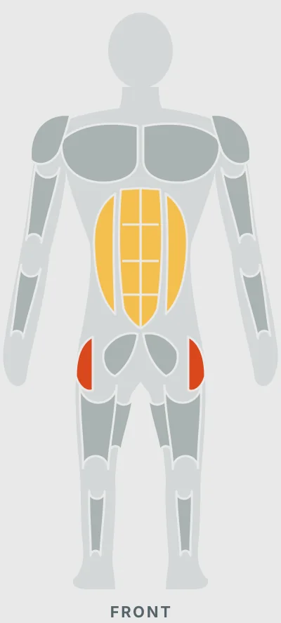 Standing Cable Abduction: muscles worked, front view