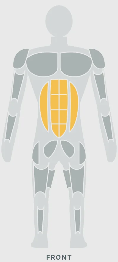 Standing Cable Kickback: muscles worked, front view