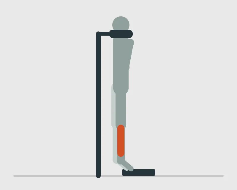 Standing Calf Raise, end position