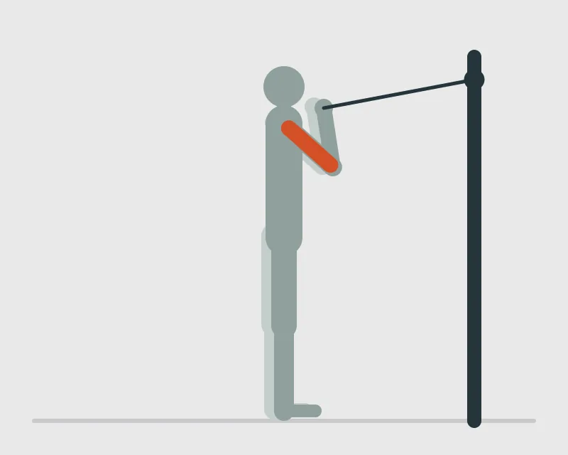 Standing High Pulley Cable Curl, end position