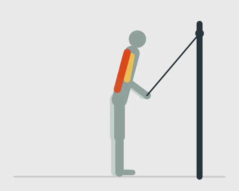Straight Arm Lat Pulldown, end position