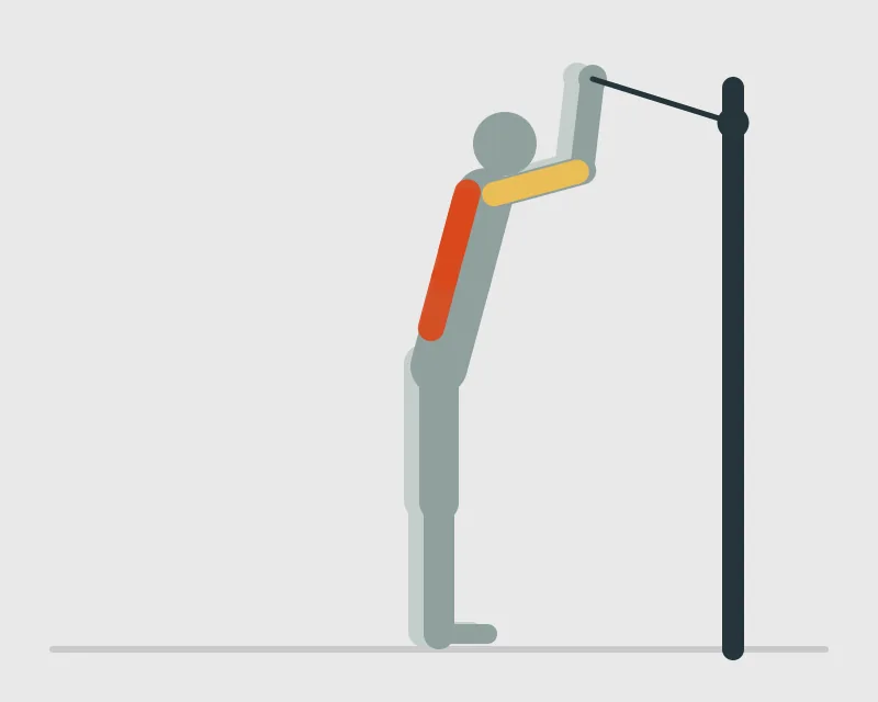 Straight Arm Lat Pulldown, start position