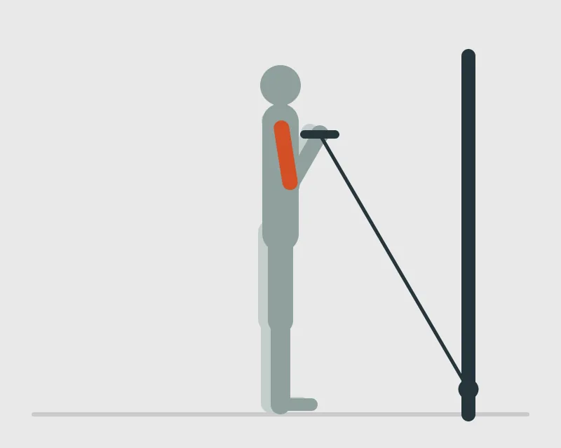 Straight Bar Low Pulley Cable Curl, end position