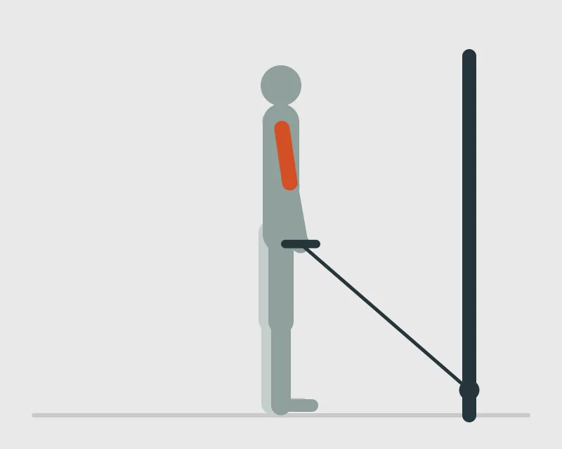 Straight Bar Low Pulley Cable Curl, start position