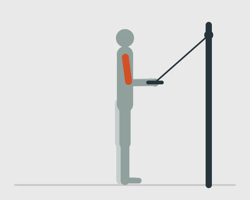 Triceps Pressdown, start position