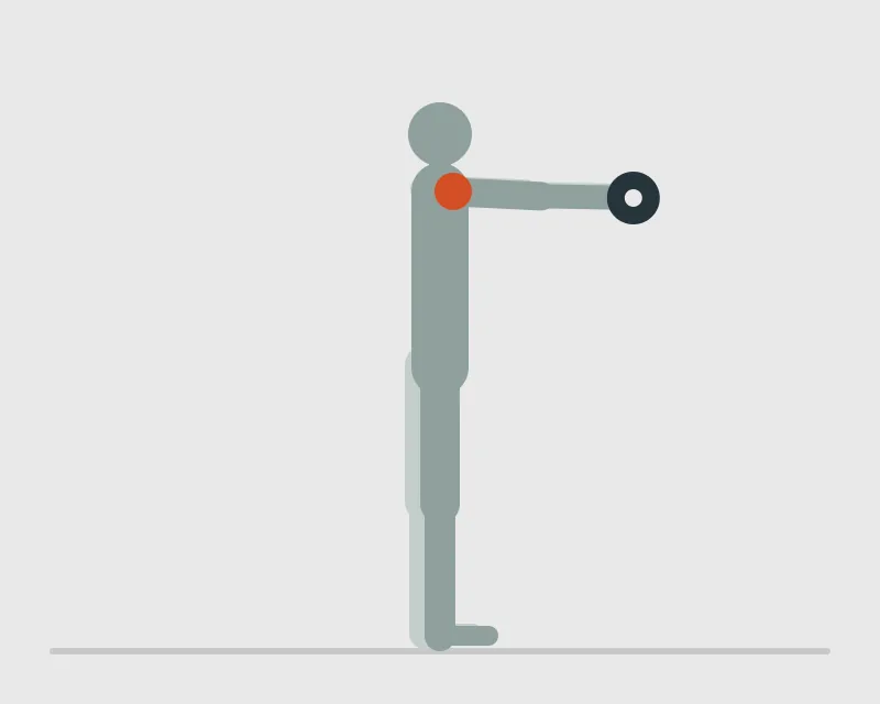 Two-Handed Dumbbell Front Raise, end position